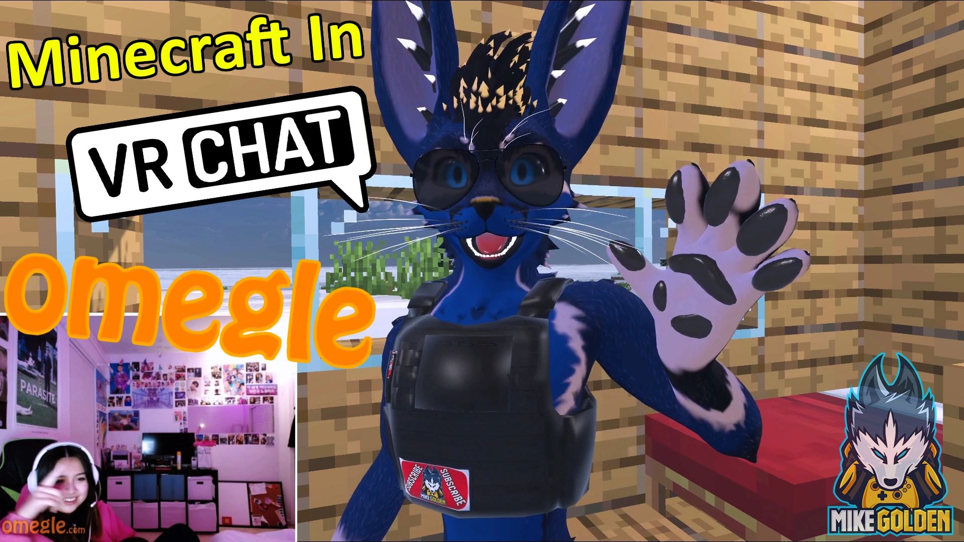 VRChat Omegle Minecraft gaming